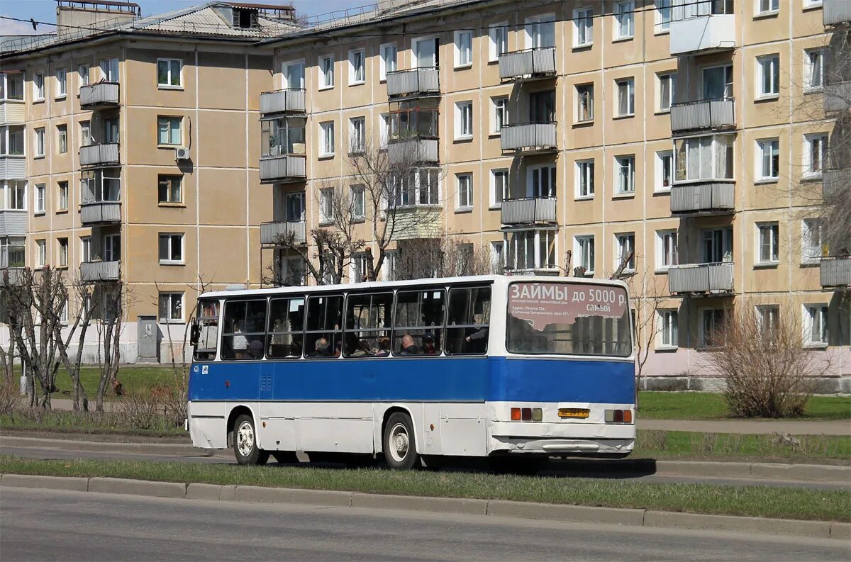 Г железногорск красноярский край автобус. Икарус орёл Железногорск. Автобус Железногорск. Железногорск Красноярский край автобус 3. Курчатова 78 Красноярск автобусы.