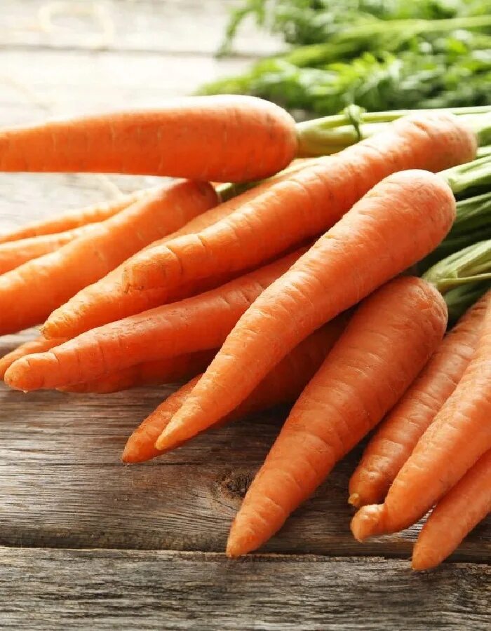 Морковь гибриды. Красивая морковь. Морковь столовая. Морковь ноу Флай мухи. Корковь.