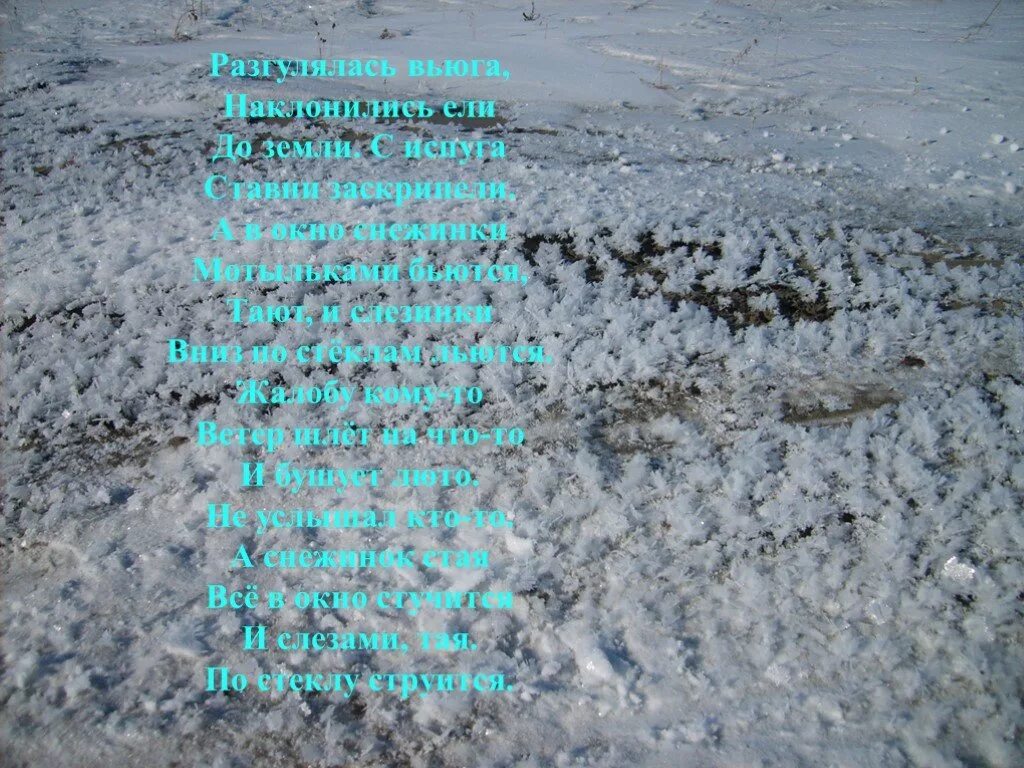 Стихи про зиму. Снежная буря в лесу. Разгулялась вьюга. Разгулялась вьюга. Разгулялась вьюга наклонились ели.