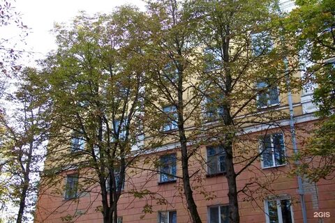 Брянск 45