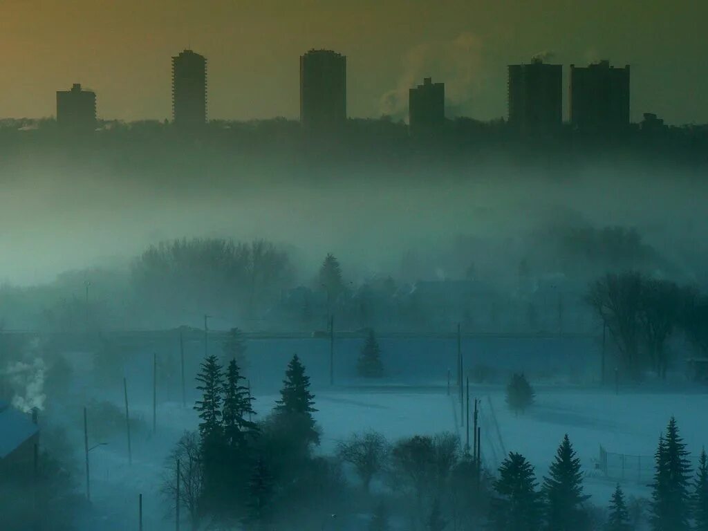 In the fog портал