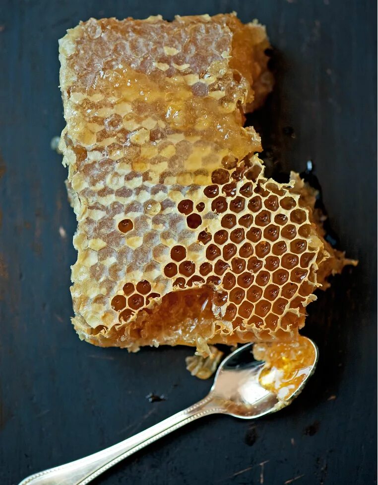 Перга рамка. Соты пчелиные. Мёд в сотах. Медовые соты. Мед с сотами.