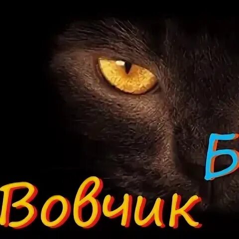 Картинки с именем вовчик. Смешные картинки про вовчика. Вовчик называет его. Вовчик называет его. Шутки про вовчика.