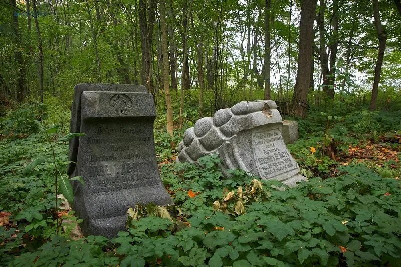 свято-троицкое кладбище в старом петергофе. кладбище старый петергоф. бабигонское кладбище петергоф. свято-троицкое кладбище в петергофе. кладбище старый петергоф.