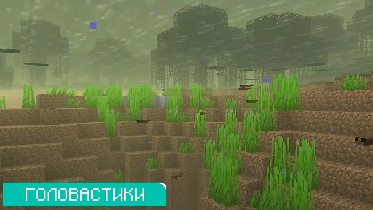 2. 18. 5. 1. Minecraft 1.