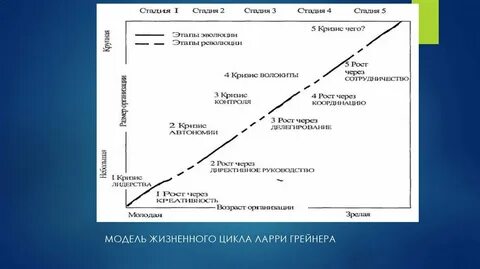 Модель жизненного цикла организации л грейнера