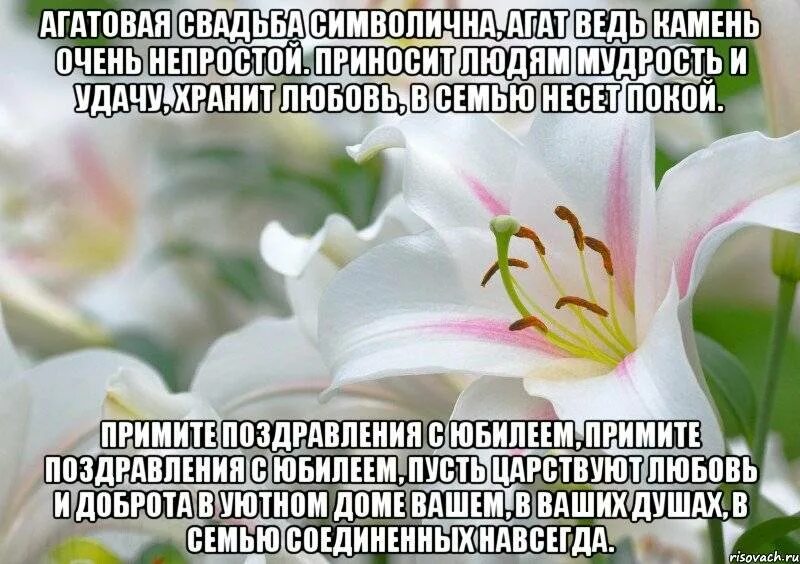 Поздравления с 14 годовщиной. 14 Лет свадьбы поздравления. Поздравление с агатовой свадьбой. С днём свадьбы 14 лет поздравления. Поздравление с агатовой свадьбой 14.