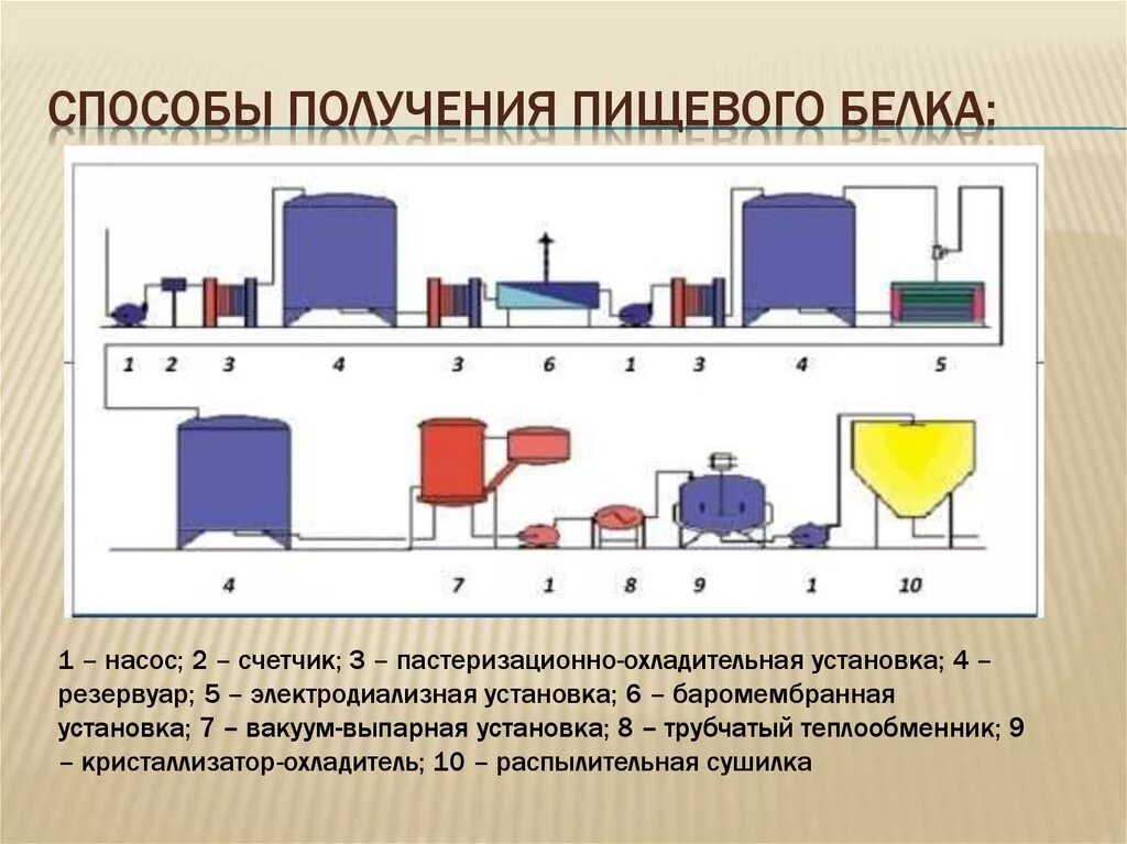 Биотехнология получения белка. Технологическая схема получения микробного белка. Получение пищевого белка. Производства пищевых белков.. Технология получения микробного белка.