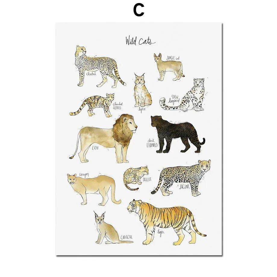 Animals menu