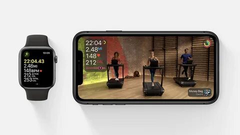 Fitness обзор