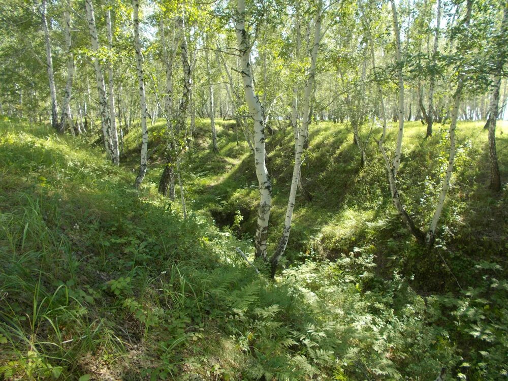 сноупарк миллениум омск.