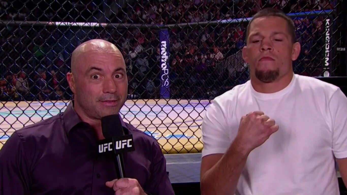 Комментаторы ufc. Джо роган ufc. комментатор юфс роган.