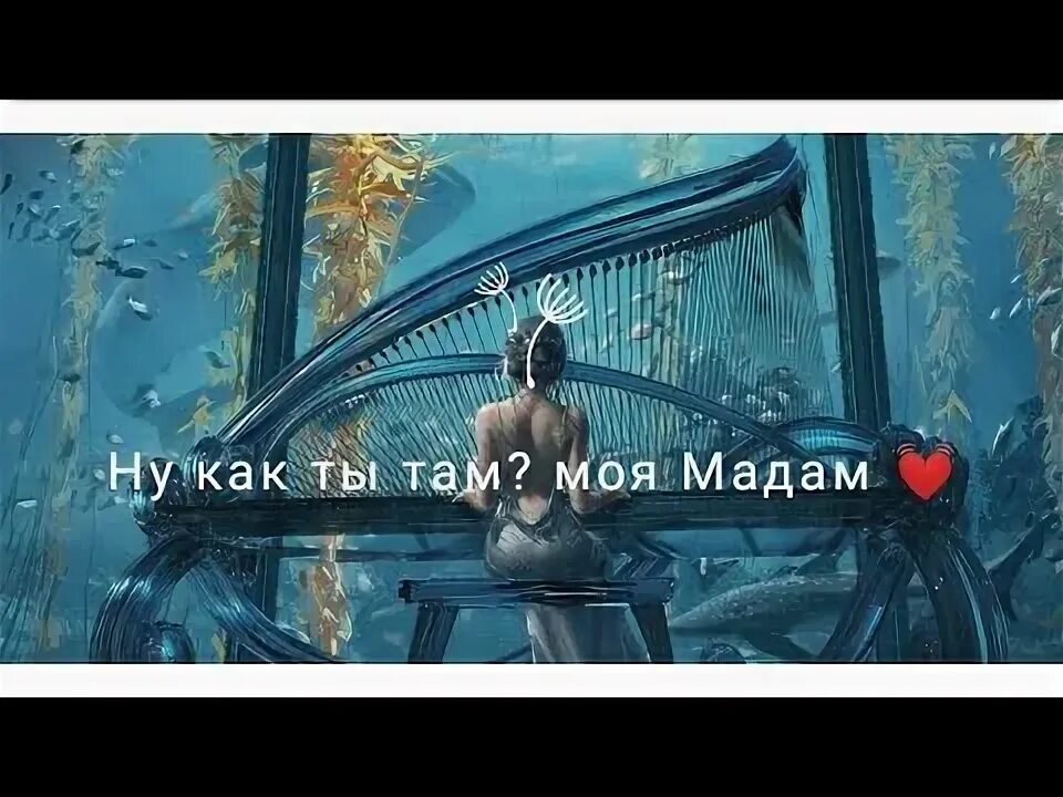 Песня а че ты моя мадам. Ну как ты там моя мадам. Как ты там моя мадам точнее мой предатель. Ну как ты там моя мадам картинки. Ну как ты там моя мадам точнее мой предатель кто поет.