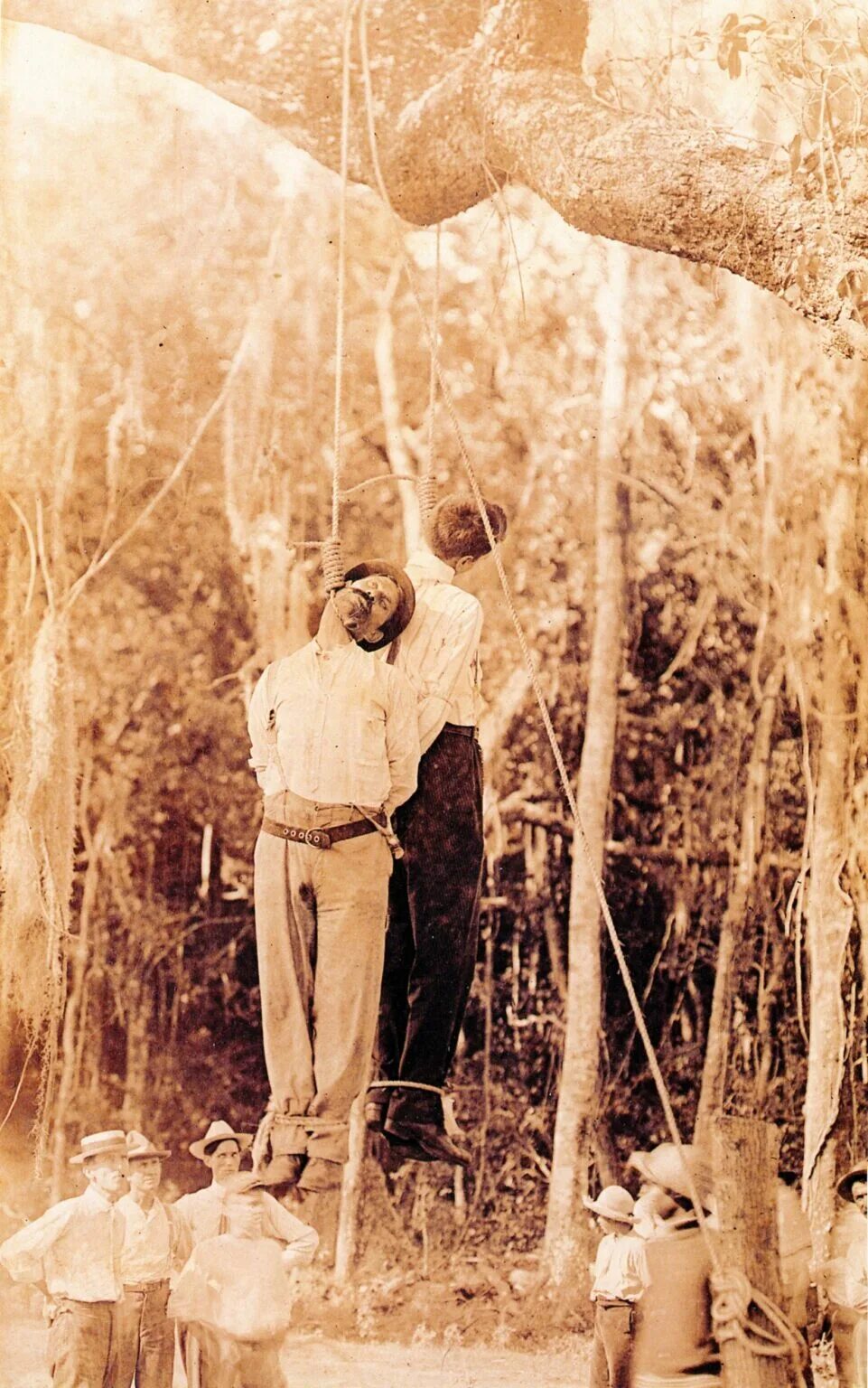 линчевание джесси вашингтона. линчевание джеймса вашингтона. джеи вашингтон линчевание. линчевание джеймса вашингтона. линчевание джесси вашингтона.