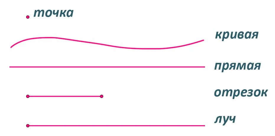 Точка кривая линия прямая линия отрезок Луч. Точка прямая кривая отрезок Луч. Точка кривая линия прямая линия отрезок 1 класс задания. Кривая и прямая линии Луч отрезок ломаная. Точка линия прямая луч