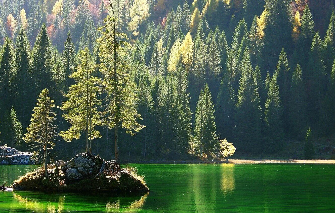 Тайга (хвойные леса) реки Сыктывкар. Финляндия скалы озеро лес сосны. Хвойный лес Финляндия. Природа лес хвойный река. Хвойные горы