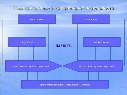 Значение познавательной деятельности в жизни человека