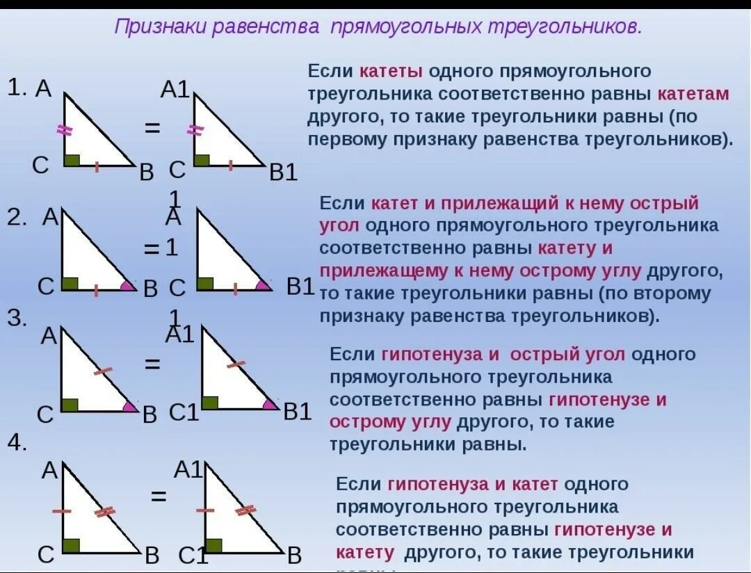 1 признак равенства прямых треугольников