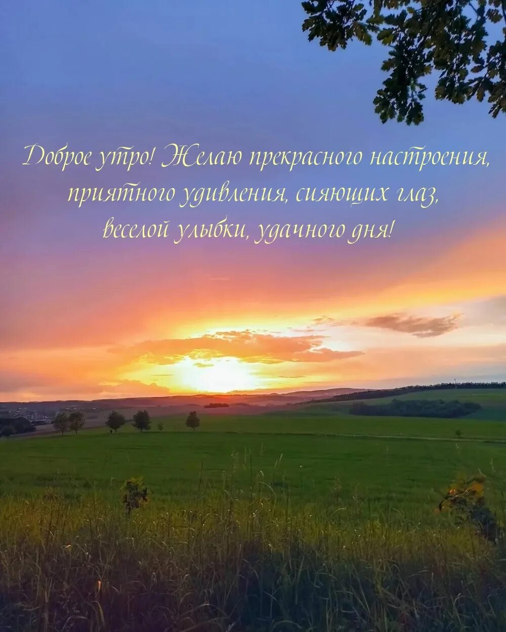 Пожелания мирного доброго утра небо над головой. Пожелания с добрым утром и хорошего дня. Доброе утро рассвет с надписью. Доброе утро пейзаж с надписью. Надпись рассвет.