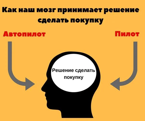 Решение brain. Мозг и принятие решений. Как мозг принимает решения. Мозг принимает решение. Как наш мозг принимает решения.