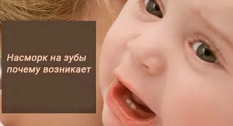 Год соплей