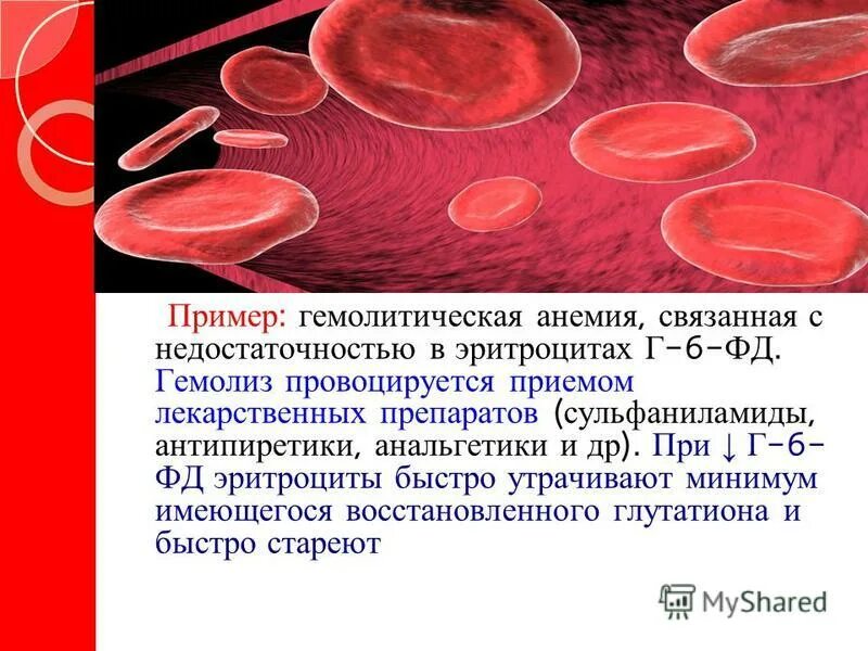 Гемолиз эритроцитов в крови. Гемолитическая анемия эритроциты. Гемолиз эритроцитов при анемии. Гемолитическая анемия клетки крови.