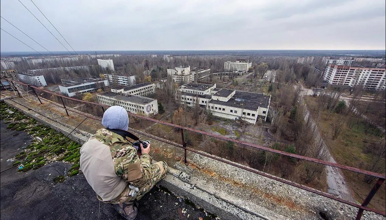 Сколько лет чернобылю в 2025 году