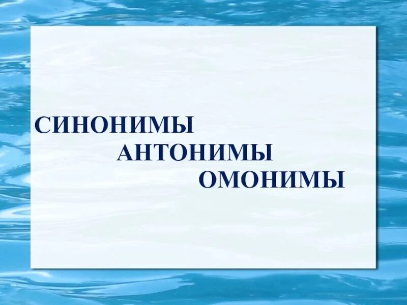 Определить синонимы и антонимы. Омонимы синонимы. Синонимы антонимы омонимы. Тема синонимы антонимы омонимы. Омонимы синонимы омонимы.