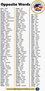 Opposite words перевод