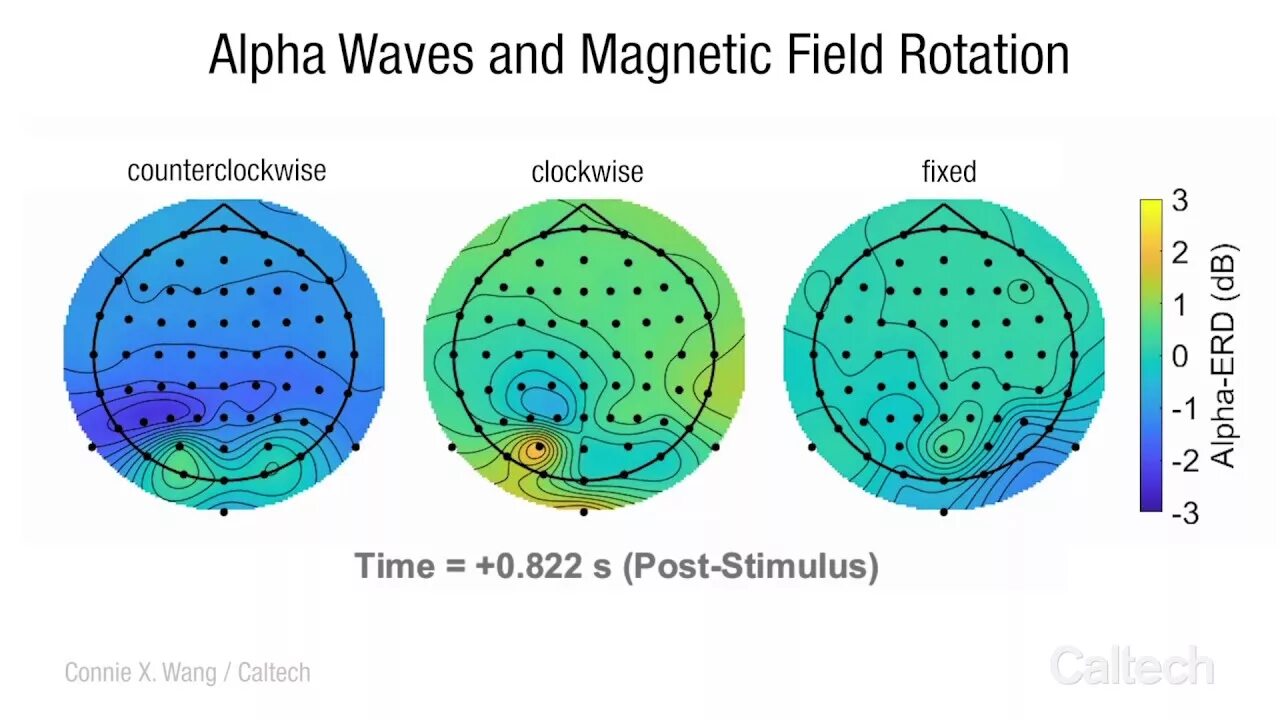 Fields experiment