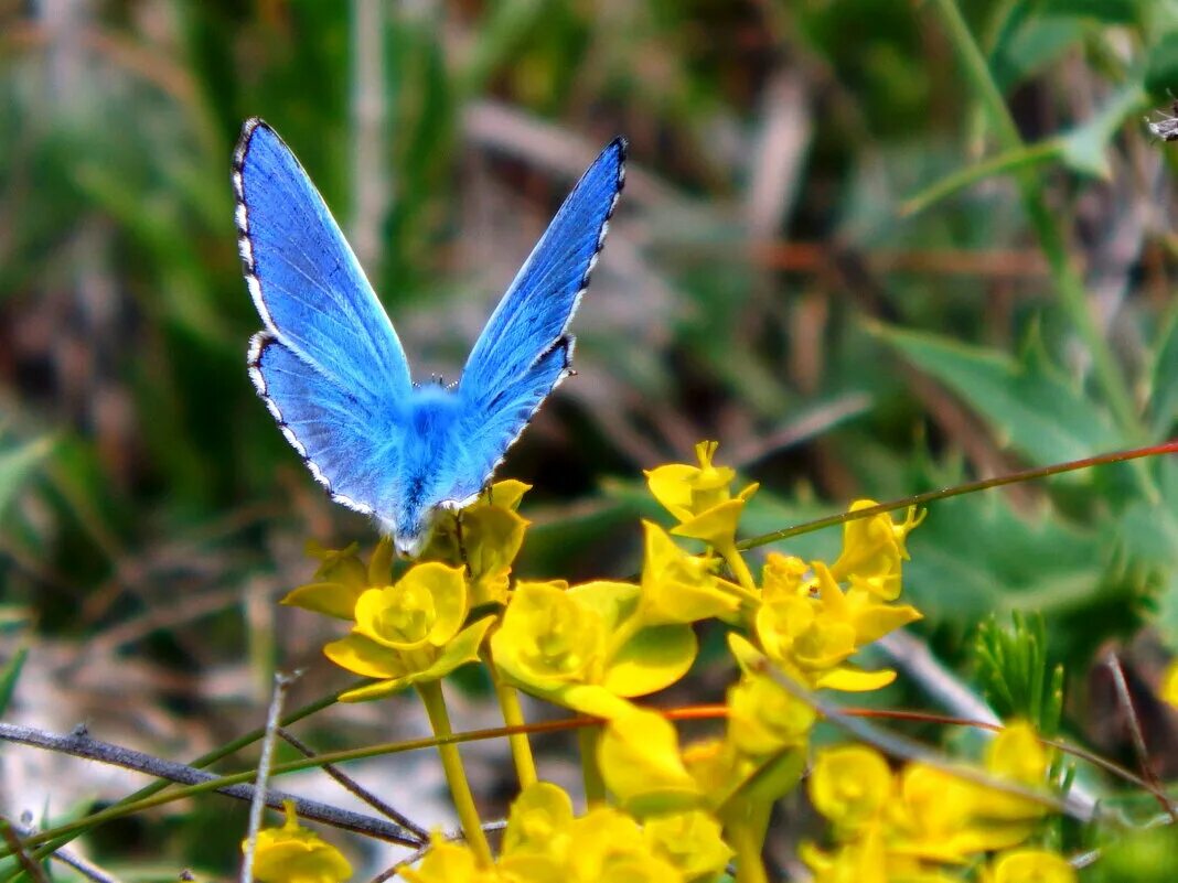 красивые фото голубая мечта. шарф на ветру. голубая мечта это. голубая мечта королев. человек на пирсе.