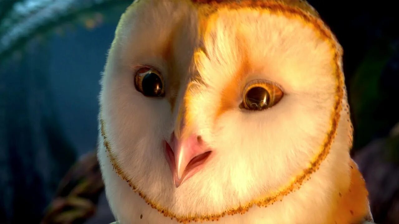 Легенды про сов. Ночные стражи копуша. легенды ночных стражей 2.