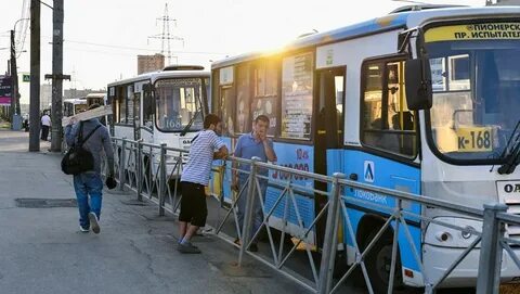 Петербургская транспортная