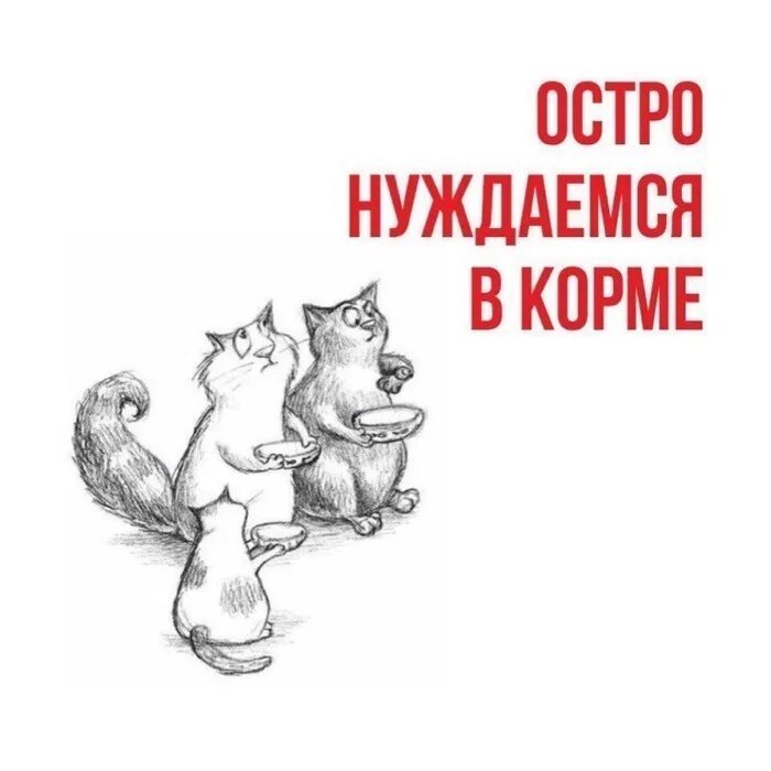 нужен корм. нужен корм для котят. помогите на корм животным. сбор на корм. помогите денюжкой на корм.