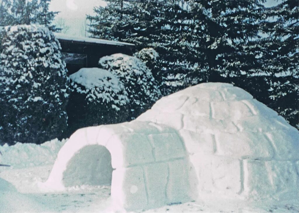 Иглу воронеж. Снежное укрытие. Домик из снега для детей. Снежный домик дети. Маленький домик из снега.