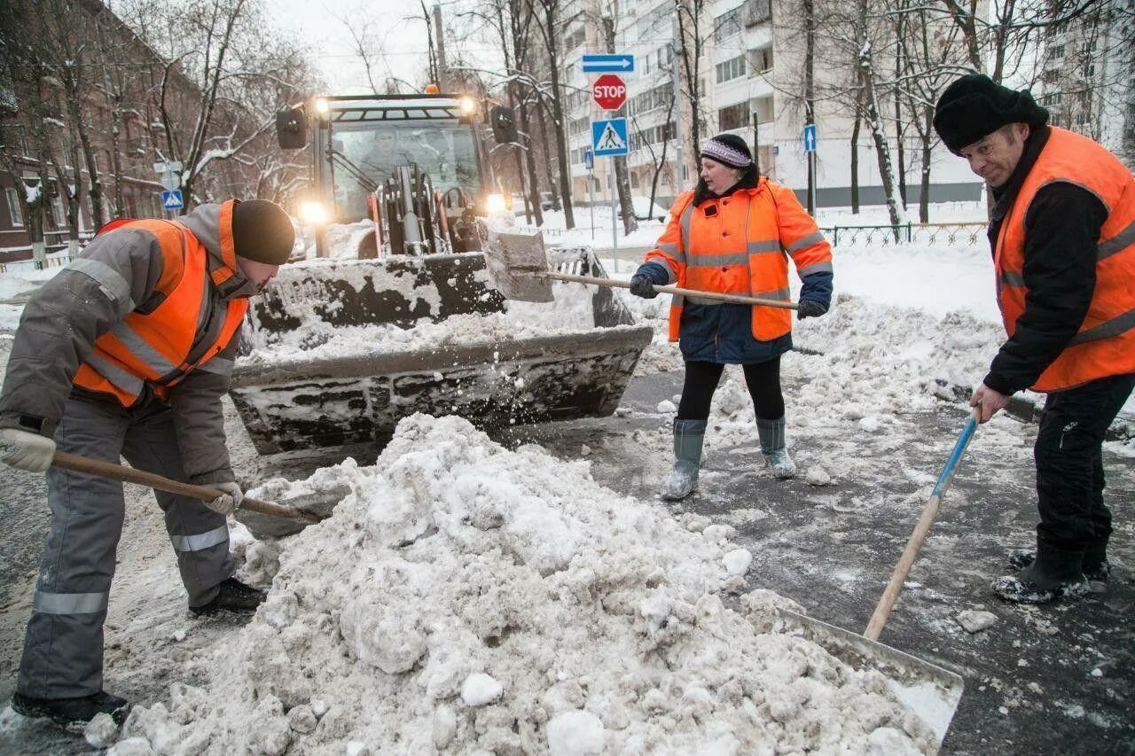 Работа дорожно коммунальное работа