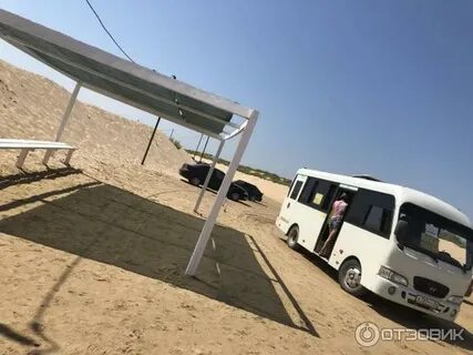 Пляж тортуга отзывы