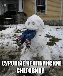 "Ссыкливый" блогер : Криминальные сводки