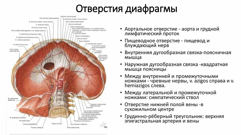 Отдельный отверстие