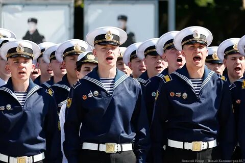 Военно морской калининград