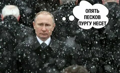 Несущий пургу