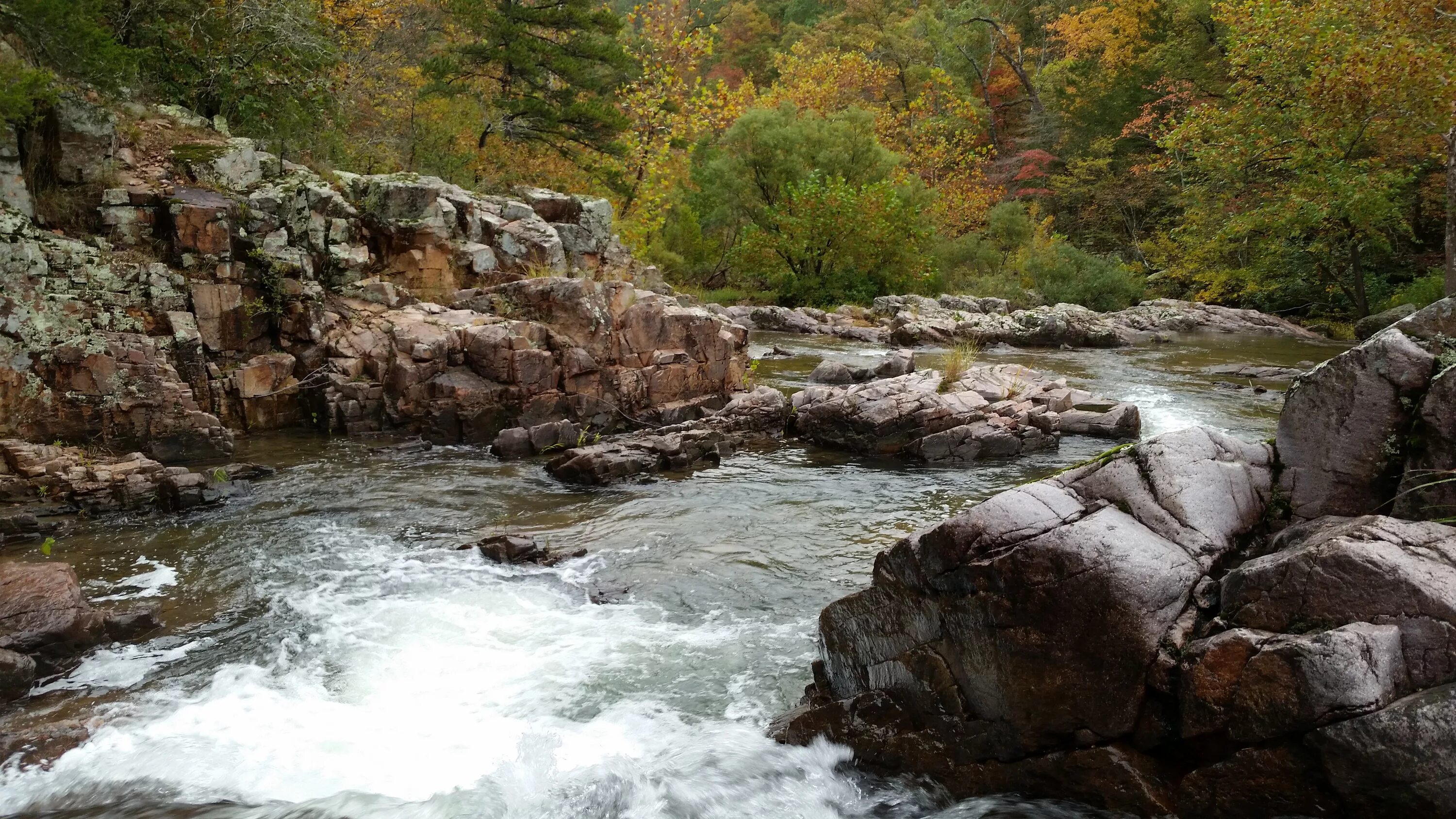 Rock creek park. Rock creek. Rock creek. Rock creek park. Rock creek.