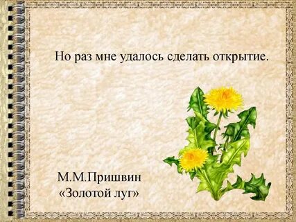 Пришвин золотой