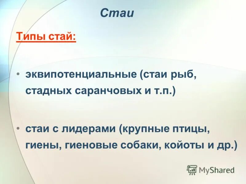 Типы стай