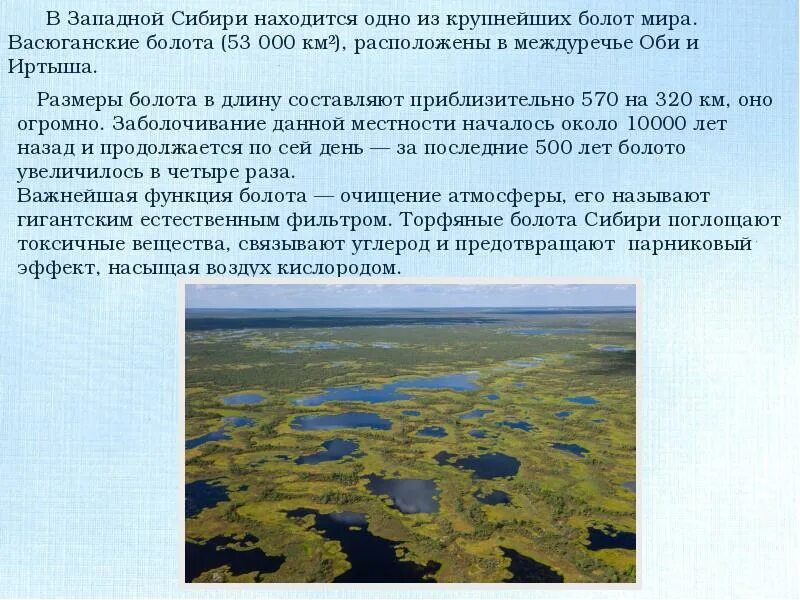 Васюганские болота субъект рф. Большое Васюганское болото на карте России. Васюганские болота заповедник на карте. Васюганские болота Томская. Васюганские болота заповедник на карте России.