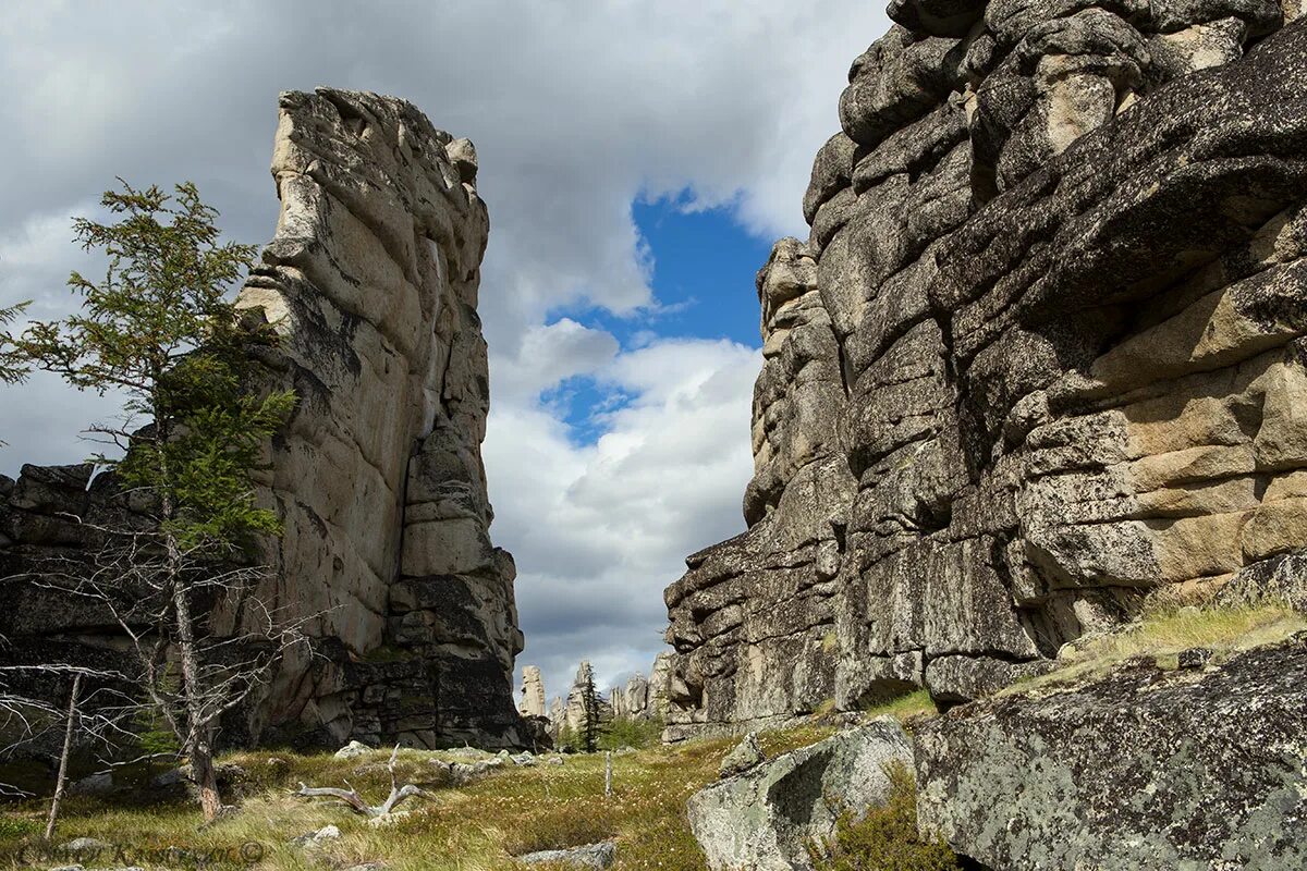 Г кряж. Посёлок кряж самарская. Г кряж. Горный кряж салаир. Самара поселок кряж.