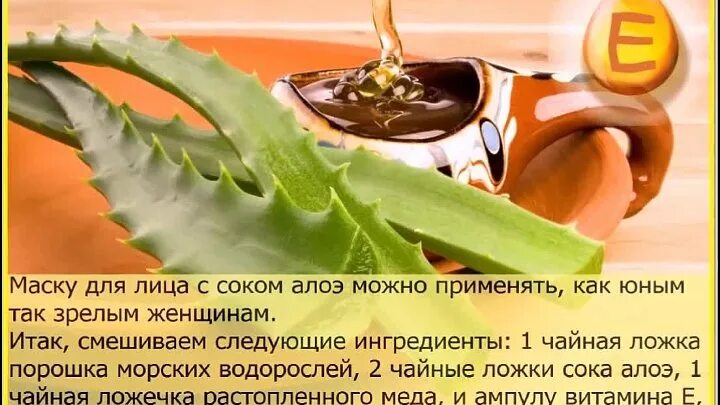 Маска из алоэ для лица от морщин. Маска из алоэ для лица в домашних. Алоэ от морщин. Маска из алоэ для лица домашняя. Маска из алоэ от морщин.