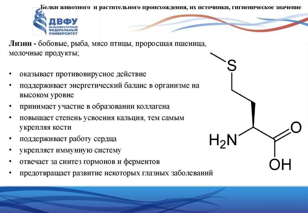 Примеры растительного происхождения. Белки животного и растительного происхождения. Белки растительного происхождения и животного происхождения. Белки растений происхождения. Белки растительного происхождения перечень.