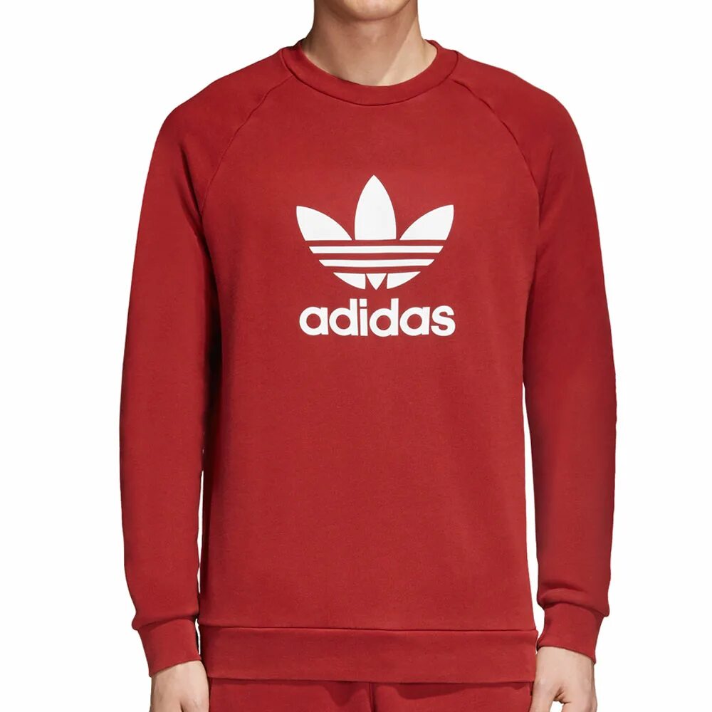 Толстовка адидас купить. Свитшот adidas Trefoil Crew. Свитшот адидас красный мужской. Бордовый свитшот адидас Ориджиналс. Свитшот adidas Originals мужской красный.