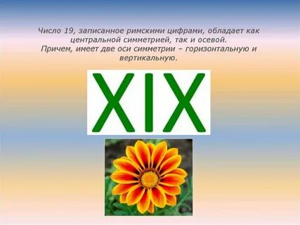 Что было 19 числа